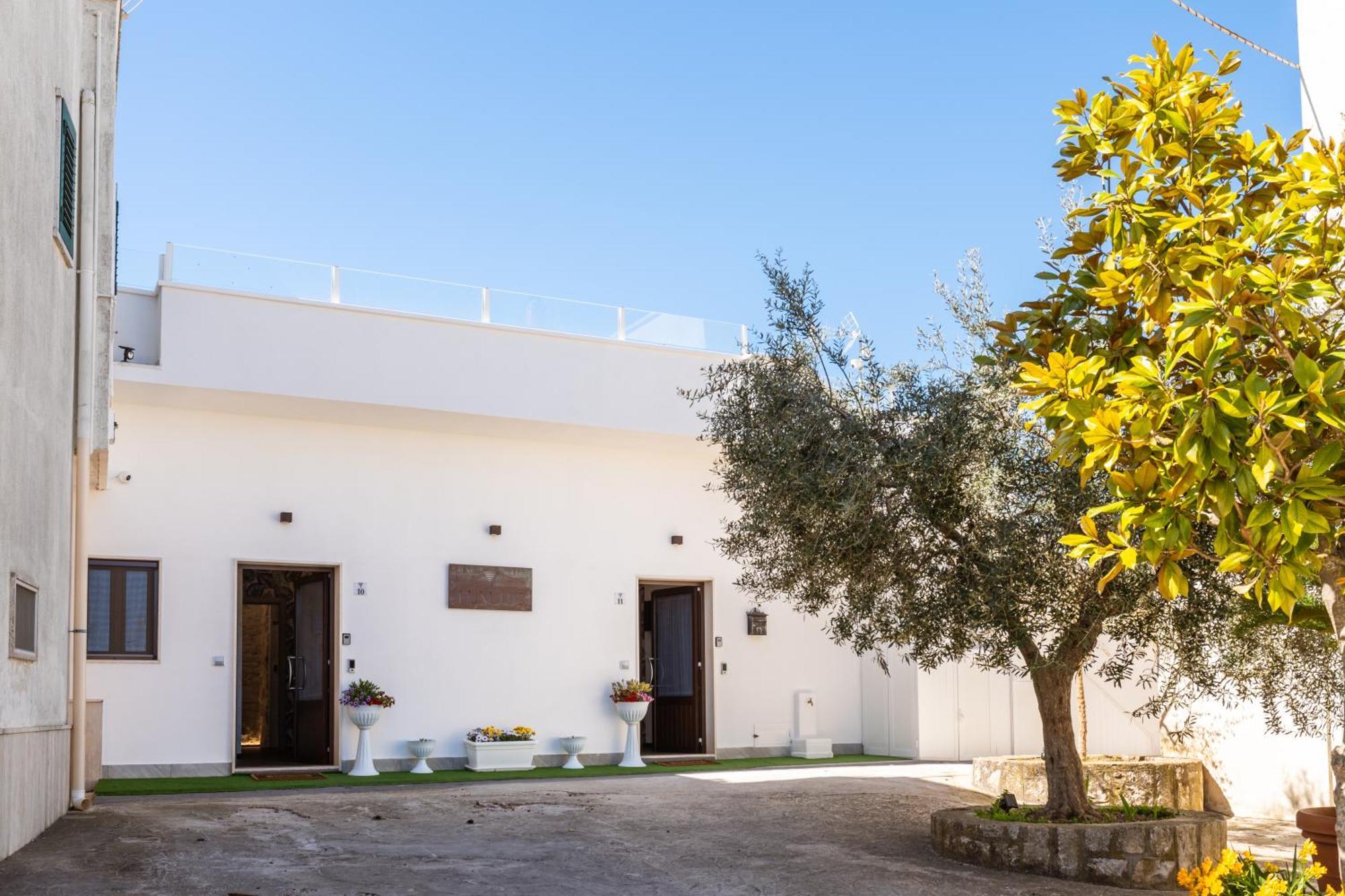 Luxuite Spa Con Piscina E Jacuzzi Alberobello Exterior photo